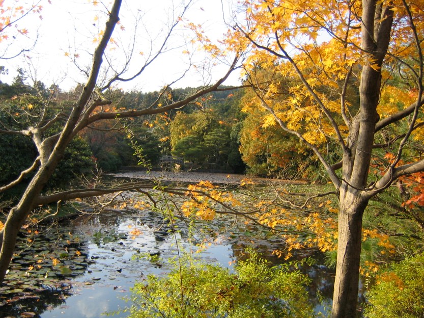 pond at Ryōanji