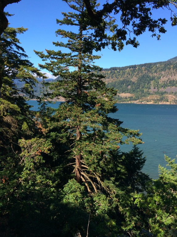 columbia-river-gorge